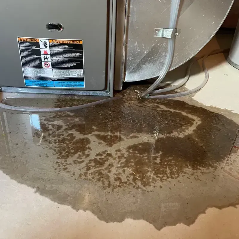 Appliance Leak Cleanup in Brooks County, GA